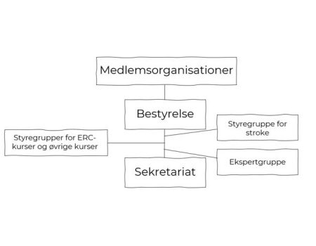 orgdiagram2